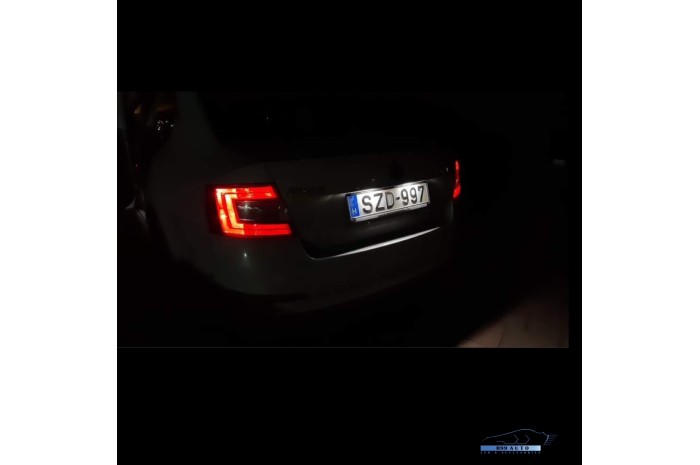 Skoda/Volkswagen/Seat LED Rendszámtábla világítás foglalattal (Skoda/Volkswagen/Seat)